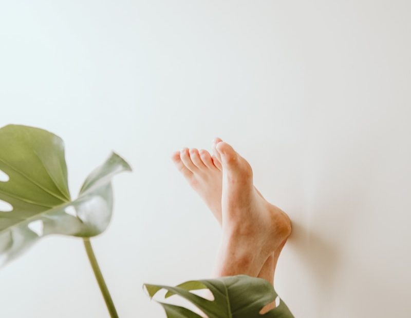 persons left hand on green leaves